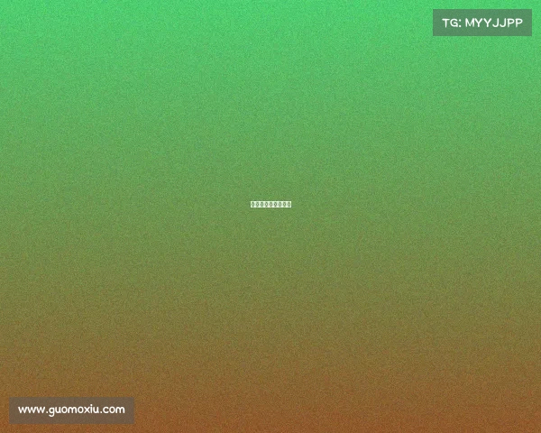 北仑赛车场比赛时间